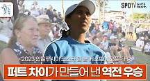 하이라이트