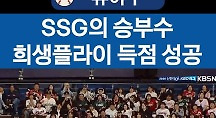 하이라이트
