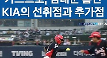 하이라이트