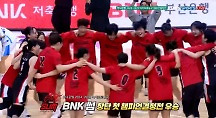 하이라이트