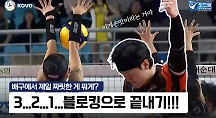 하이라이트