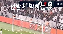 하이라이트