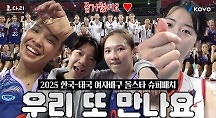 하이라이트