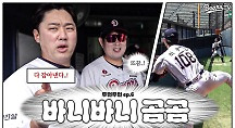 하이라이트