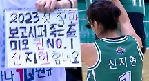 하이라이트