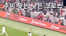 하이라이트