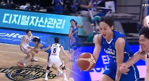 하이라이트