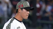 하이라이트