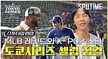 하이라이트