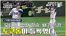 하이라이트