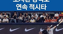 하이라이트