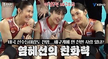 하이라이트
