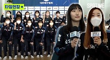 하이라이트