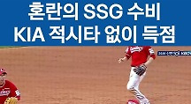 하이라이트