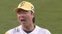 하이라이트