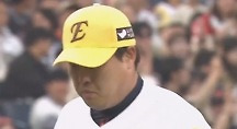 하이라이트