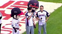 하이라이트