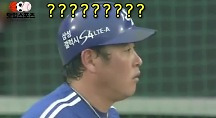 하이라이트