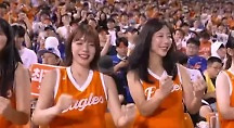 하이라이트