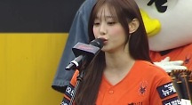 하이라이트