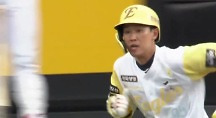 하이라이트