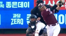 하이라이트