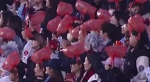 하이라이트