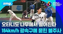 하이라이트