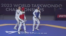 하이라이트