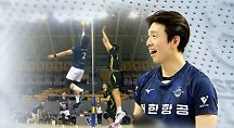 하이라이트