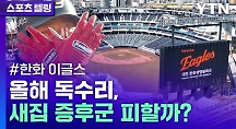 하이라이트