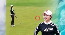 하이라이트