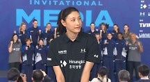 하이라이트