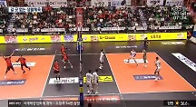 하이라이트