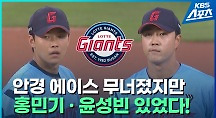 하이라이트