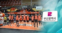하이라이트