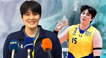 하이라이트