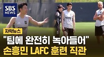 하이라이트