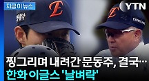 하이라이트
