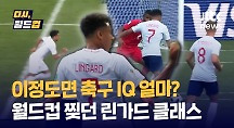 하이라이트