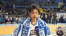 하이라이트