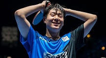 하이라이트