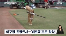 하이라이트