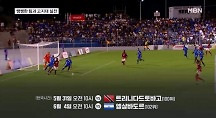하이라이트
