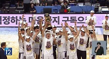 하이라이트