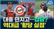 하이라이트