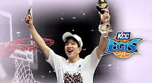 하이라이트