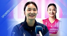 하이라이트