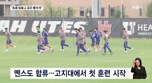 하이라이트