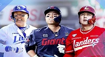 하이라이트